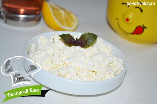 Корал-кваша и творог с Би-Курунгой | Готовая