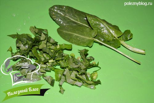 Полезный Блог - Очень вкусный зелёный щавелевый суп с яйцом - Шаг 11