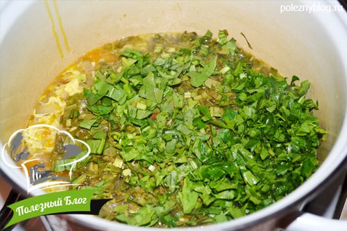 Полезный Блог - Очень вкусный зелёный щавелевый суп с яйцом - Шаг 18