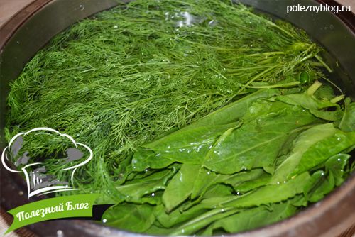 Острый зелёный соус к мясу и рыбе из укропа, перца и щавеля - Шаг 1