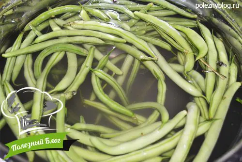 Полезный Блог - Простой и очень вкусный салат из стручковой фасоли - Шаг 1