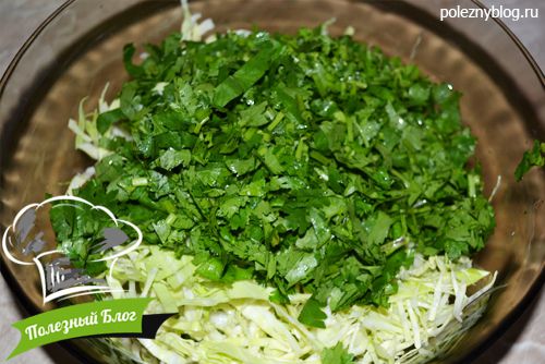 Полезный Блог - Салат с капустой, огурцами и кинзой с кунжутным маслом - Шаг 6