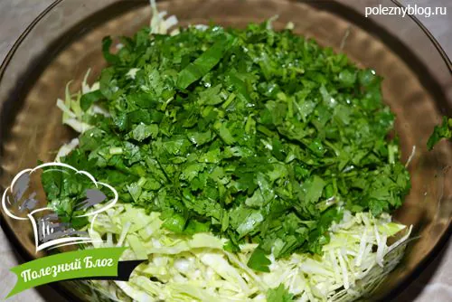 Полезный Блог - Салат с капустой, огурцами и кинзой с кунжутным маслом - Шаг 6