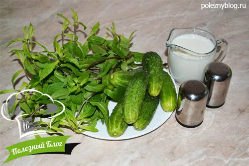 Полезный Блог - Салат с огурцом и мятой - Ингредиенты