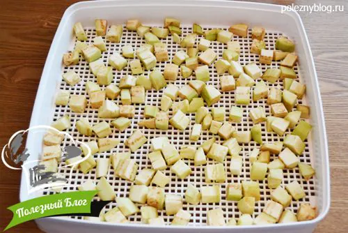Полезный Блог - Заготовка сушёных баклажан - Шаг 3
