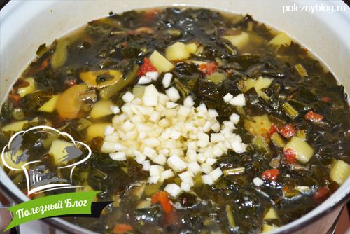 Полезный Блог - Зелёный суп из щавеля, кабачков и стручковой фасоли - Шаг 10