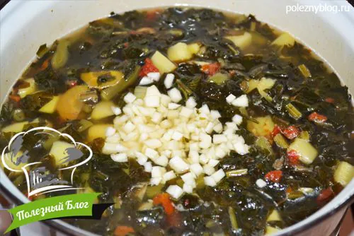 Полезный Блог - Зелёный суп из щавеля, кабачков и стручковой фасоли - Шаг 10